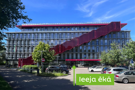 red line ieeja
